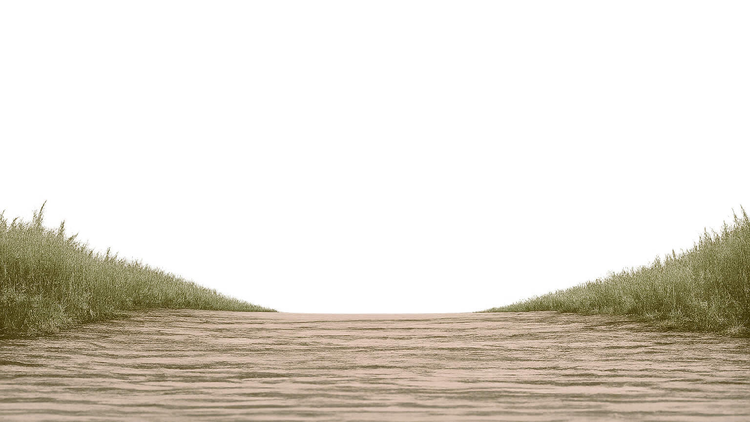 Gras